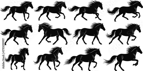 Horse gallop silhouettes, motion sequence in grid layout, black vector animals, equine anatomy illustration, dynamic poses, minimal design, nature concept