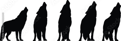 Howling wolf silhouettes, varied poses and proportions, black vector animals, wildlife illustration, nature concept, minimal design, forest anatomy study, artistic repetition