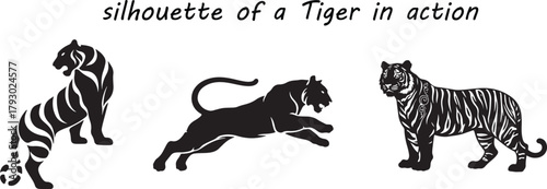 Three black tiger silhouettes in dynamic poses on white background animal