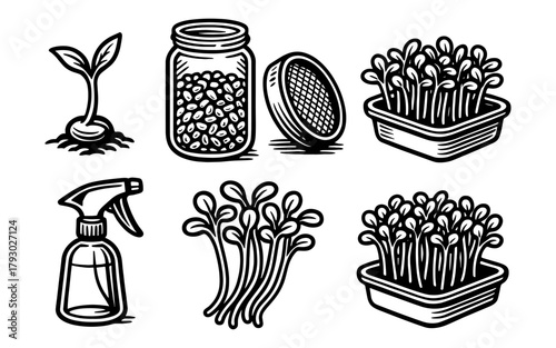 Seedling and sprouting essentials: from jar to harvest in bold black line art