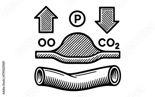 Blood pressure and co2 levels: hemodynamics in arterial function concept