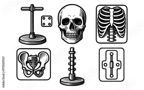 Vintage medical anatomy collection featuring skull and skeleton elements