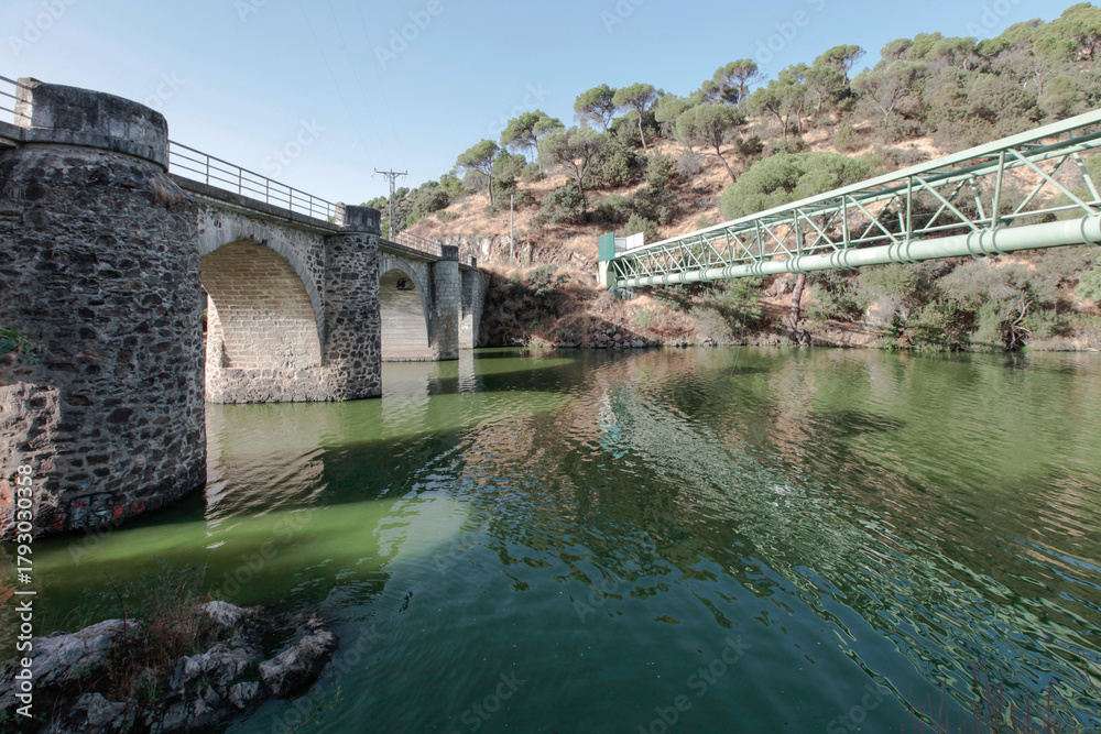 Fototapeta premium swamp or reservoir to generate electricity