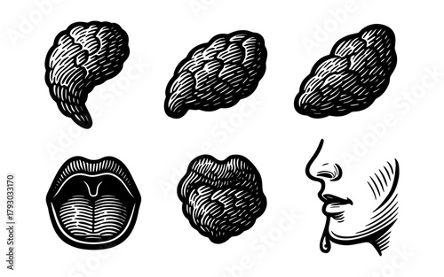 Vintage engraving style human anatomy elements with brains and mouths
