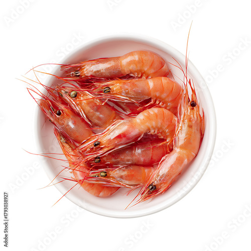  Isolated Shrimps in Bowl Fresh Food Display