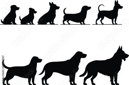 Collection of dog breed silhouettes in a row, depicting various sizes and shapes.