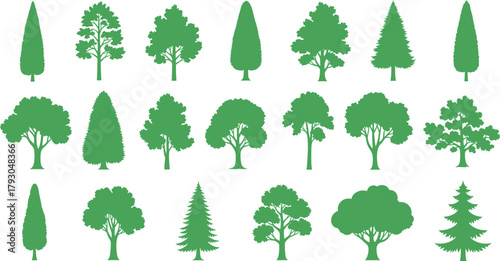 Green tree silhouette collection, forest nature design, eco vector illustration, botanical landscape elements for environment graphics