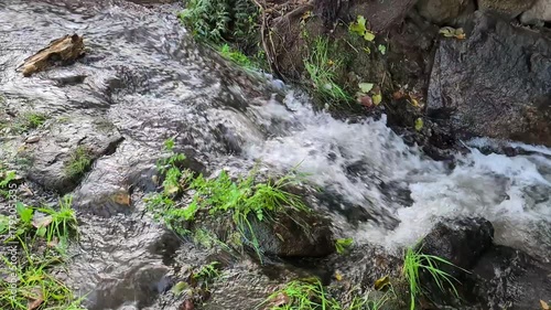 A stream with water flowing and jumping, forming small waterfalls.