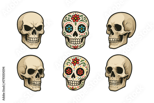Skull icon set. Realistic and sugar skulls vector set. Halloween and Día de los Muertos skulls.