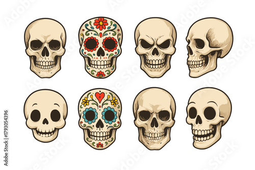 Skull icon set. Realistic and sugar skulls vector set. Halloween and Día de los Muertos skulls.