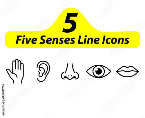 Minimalist Five Senses Line Icons,
vector illustration of Five Senses Line Icons,
Clean Black Touch, Hearing, Smell, Sight & Taste Symbols