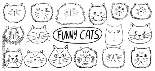Different cute and funny black and white cats heads. Hand drawn various kittens. Doodle animals collection. Vector ink sketch elements.