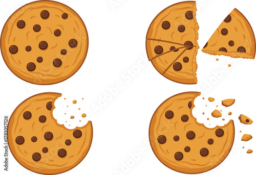 Delicious chocolate chip cookie illustrations showing whole, sliced, bitten, and crumbled versions, perfect for bakery designs, food graphics, and sweet dessert-themed vector artwork.