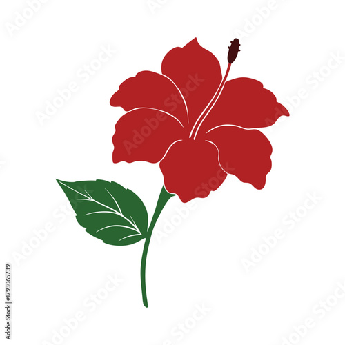 Red hibiscus flower botanical illustration with green leaf design.