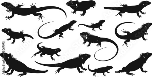WebLizard and iguana silhouette collection vector illustration, reptile wildlife design, exotic tropical animals artwork, black reptile shapes isolated on white background
