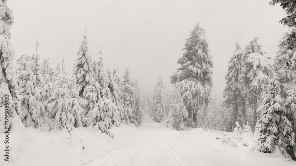 Fototapeta premium Snowy Path