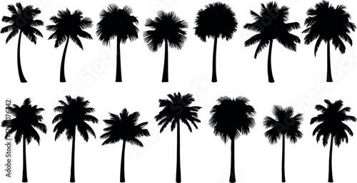 Collection of twelve different palm tree silhouettes