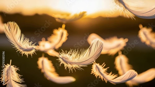 Floating feathers against a warm, golden sunset background creating soft ambiance