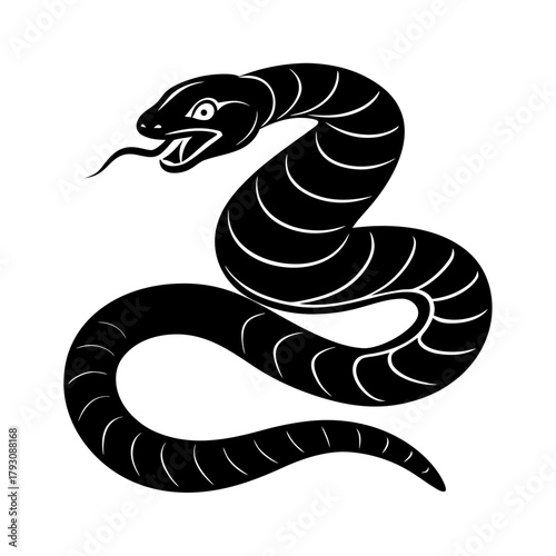 a coiled snake ready to strike vector art
