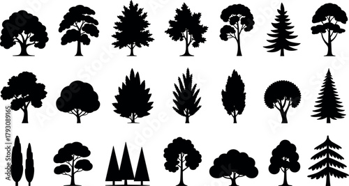 Detailed tree silhouettes vector collection botanical forest deciduous coniferous species nature icon design graphic illustration set