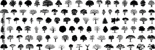Tree silhouettes mega set, diverse forest and park icons, black vector trees, isolated shapes, landscape design elements, nature clipart collection