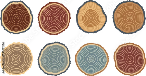Set of Tree Rings, Log Slices with Annual Growth, Detailed Wood Texture