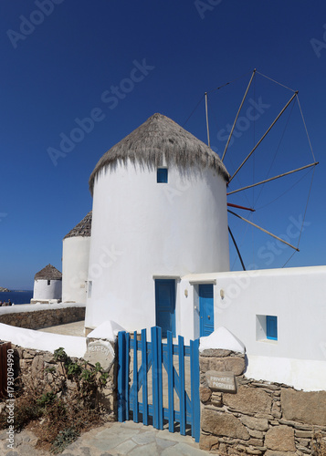Fototapeta Naklejka Na Ścianę i Meble -  Mykenos wind mills with white walls