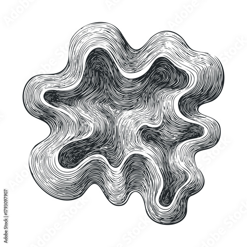 Abstract contour shapes creating fluid design for modern decor.Vector hand draw