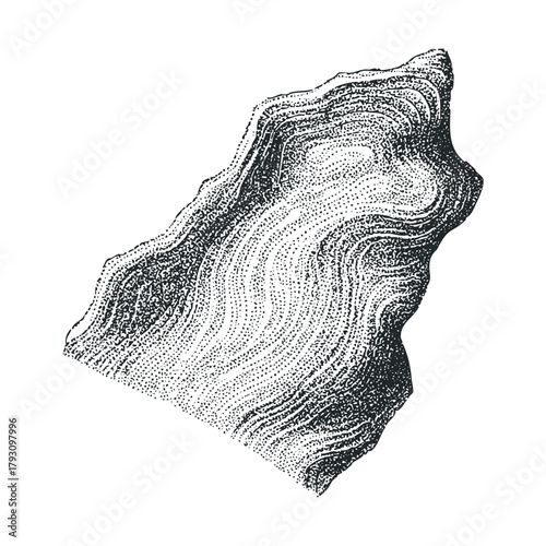 Organic rock formation with intricate textures for design projects.Vector hand draw