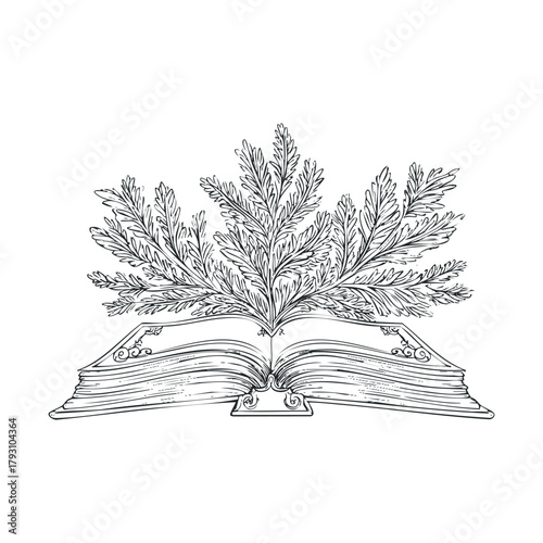 Open book with leafy branches representing knowledge and growth.Vector hand draw