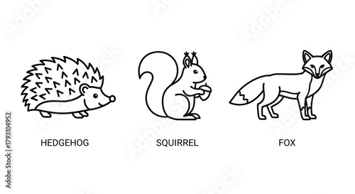 Simple line drawings depict a hedgehog squirrel and fox with labels