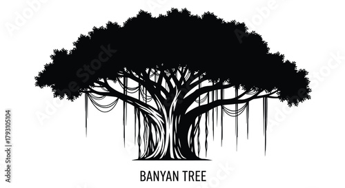 A striking black and white illustration of a large banyan tree with aerial roots