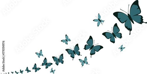 Delicate Butterfly Swarm in Flight Illustration on White Background graphic resource