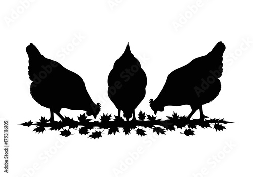 Chickens pecking at fallen leaves on transparent background