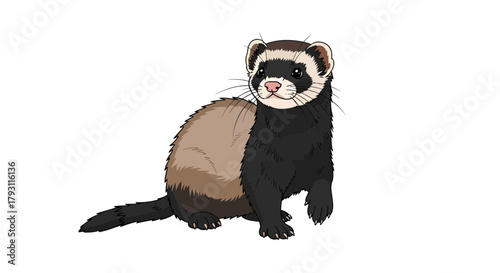 Adorable domesticated ferret artwork with detailed fur and playful expression stands out