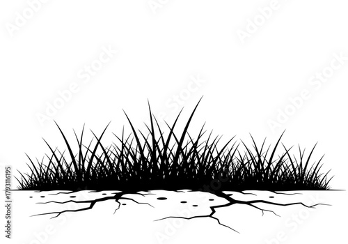 Grass growing through concrete on transparent background