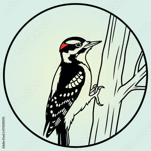 Detailed illustration of a downy woodpecker in flight