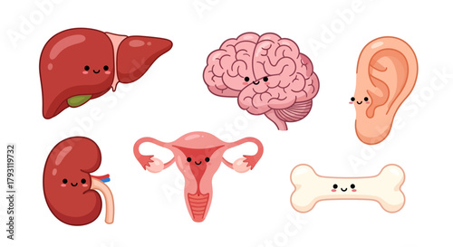 Delightful educational illustration of human anatomy with kawaii-style internal organs and bones