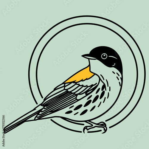 Yellow rumped warbler bird illustration