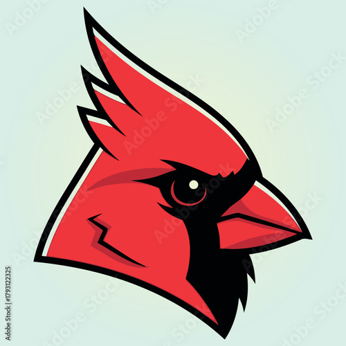 Northern cardinal bird design for cards and invitations