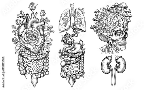 Nature and anatomy fusion: surreal botanical designs with human organs
