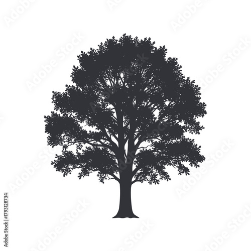 Silhouette of a large, mature oak tree with a full canopy of leaves