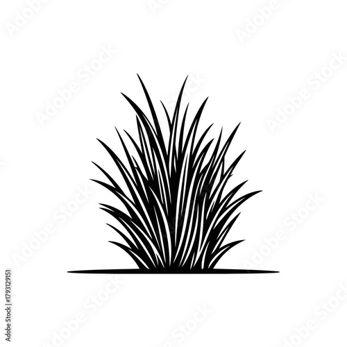Black and white illustration of a clump of grass
