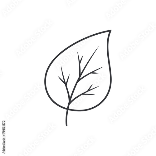 Outline drawing of a single leaf with veins, symbolizing nature and growth