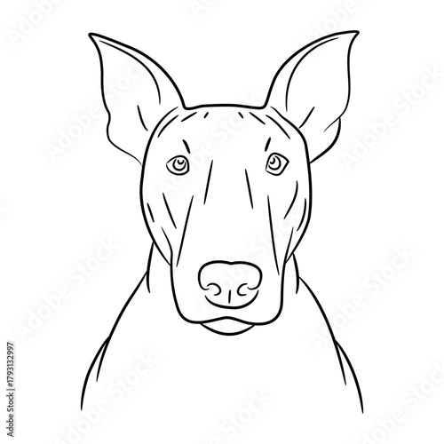head of dog Bull Terrier, sketch of black art brush lines