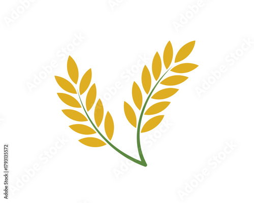 Wheat grain agriculture farming harvest crop field food healthy organic nature rural golden ripe cereal 100 char