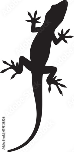 Detailed silhouette of a gecko lizard clinging to an invisible surface for wildlife and nature themes