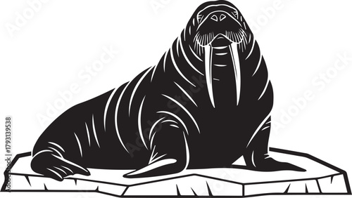 Majestic walrus silhouette resting on an ice floe arctic wildlife scene