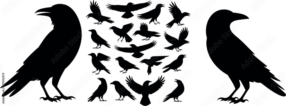 Fototapeta premium Bird silhouettes vector set, flying birds clipart, eagle crow raven icons, wildlife nature, animal silhouette collection, isolated black design elements