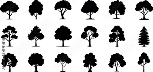 Tree silhouettes vector set, black forest clipart, deciduous and evergreen icons, isolated nature trees, landscape elements bundle, illustration collection shapes
